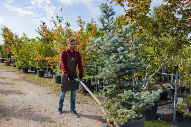 Mulching Services in Flint, MI